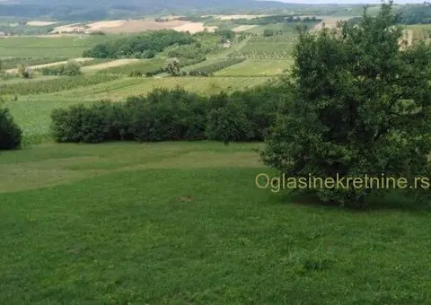 Plac na obroncima Fruške gore, potez Irig/Hopovo - 1/4