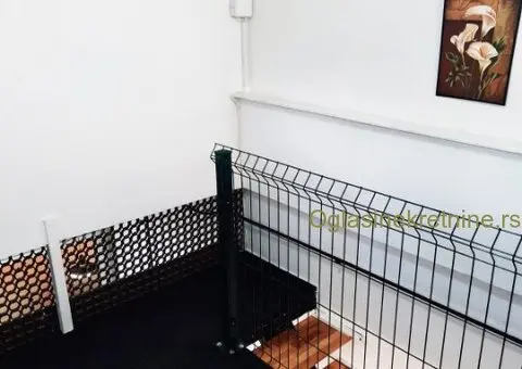 Banovo brdo, TC City hall, lokal 23 m2 - 6/12