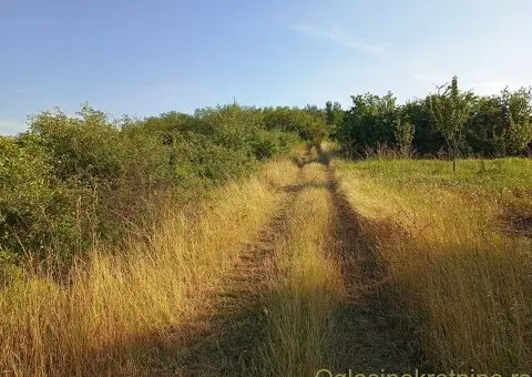 Najviši plac u BG, sa pogledom na Banat - 1/9