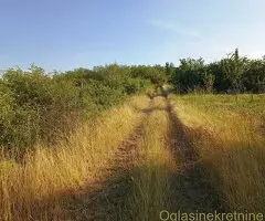 Najviši plac u BG, sa pogledom na Banat