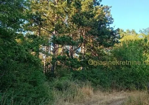 Najviši plac u BG, sa pogledom na Banat - 5/9