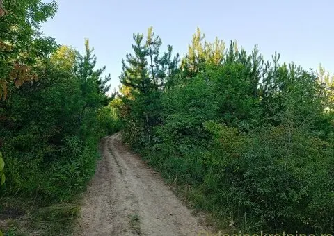 Najviši plac u BG, sa pogledom na Banat - 6/9