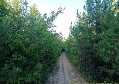 Najviši plac u BG, sa pogledom na Banat - 9/9