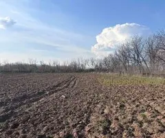 Prodaje se plac u Koracici 88,6a