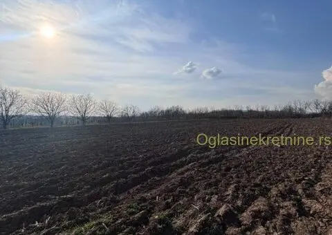 Prodaje se plac u Koracici 88,6a - 6/6