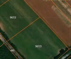 Ekskluzivan plac 50 ari uz asfalt, Kosmaj, Mala Vrbica (Mladenovac)