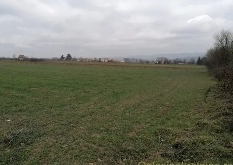 Ekskluzivan plac 50 ari uz asfalt, Kosmaj, Mala Vrbica (Mladenovac) - 3/6