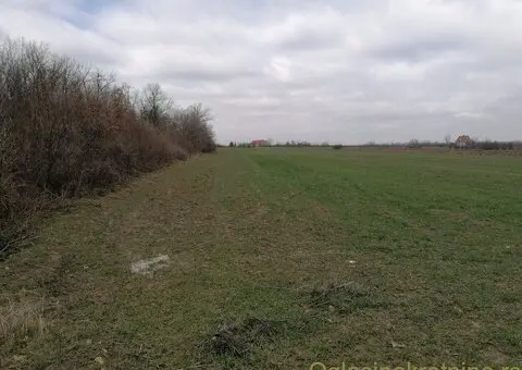 Ekskluzivan plac 50 ari uz asfalt, Kosmaj, Mala Vrbica (Mladenovac) - 4/6