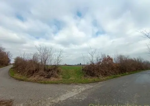 Ekskluzivan plac 50 ari uz asfalt, Kosmaj, Mala Vrbica (Mladenovac) - 6/6