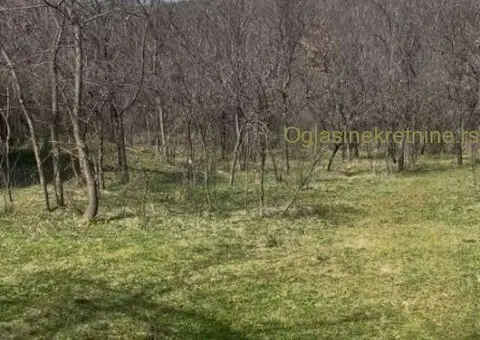 Na prodaju kuća sa okućnicom-Gornji Barbeš (okolina Niša) - 4/9