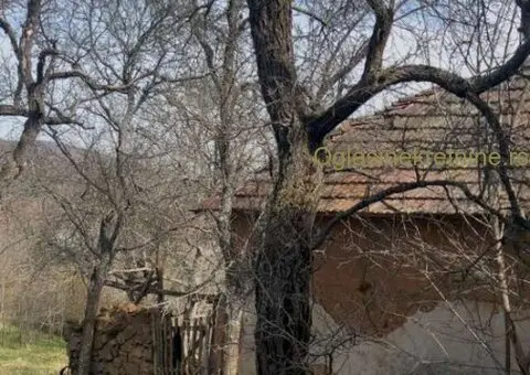 Na prodaju kuća sa okućnicom-Gornji Barbeš (okolina Niša) - 6/9