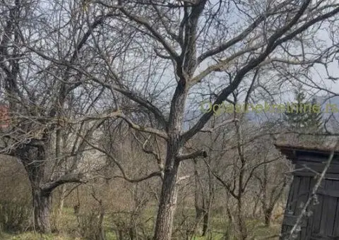 Na prodaju kuća sa okućnicom-Gornji Barbeš (okolina Niša) - 7/9