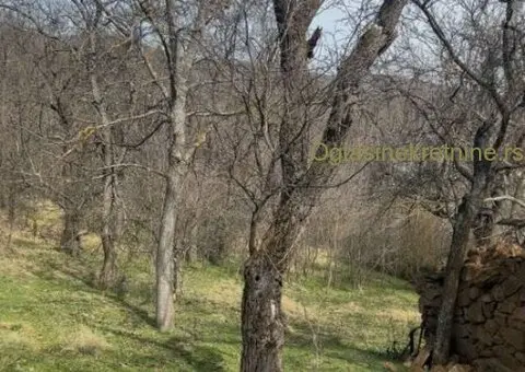 Na prodaju kuća sa okućnicom-Gornji Barbeš (okolina Niša) - 8/9