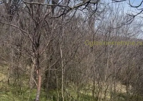 Na prodaju kuća sa okućnicom-Gornji Barbeš (okolina Niša) - 9/9