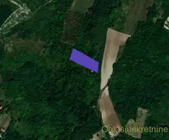 PLAC SA OČARAVAJUĆIM POGLEDOM NA DUNAVOM-NOVI SLANKAMEN