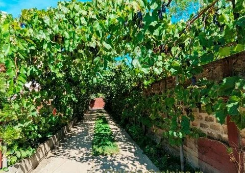 Porodična kuća 230 m² + pomoćni objekat 240 m² – idealno i za posao! - 6/15