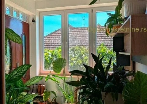 Porodična kuća 230 m² + pomoćni objekat 240 m² – idealno i za posao! - 11/15